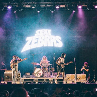 Sexy Zebras